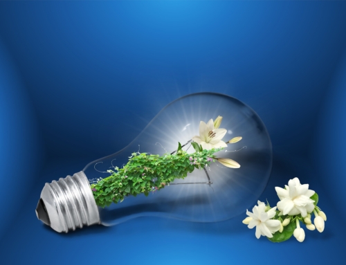 25 Energy-efficient Tips To Lower Electricity Costs